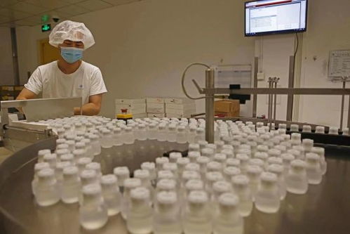 GE醫(yī)療堅定扎根中國信心，以更大規(guī)模參展第五屆進(jìn)博會