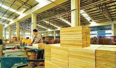 全國木材市場行情回暖，天津地區加工企業訂單爆滿迎來生產高峰